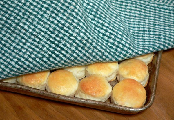 Mini Biscuits, cover with a tea towel.