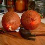 coconut, ingredients and tools