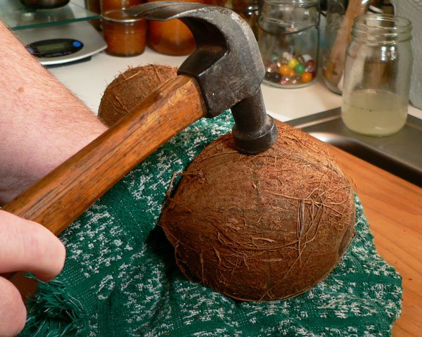 coconut, hammer whack it.