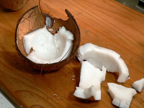 coconut, typical move.